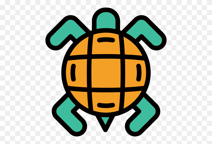 512x512 Turtle Png Icon - Turtle PNG