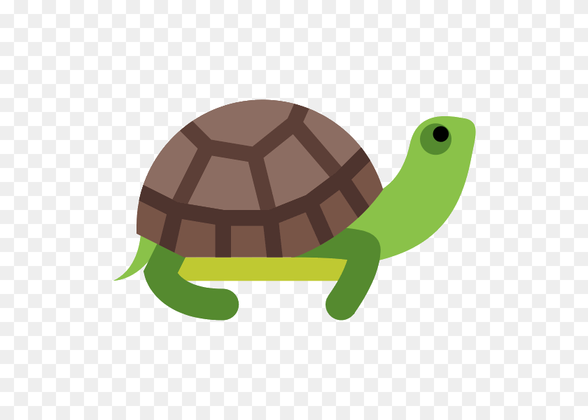 540x540 Turtle Png Photos - Turtle PNG