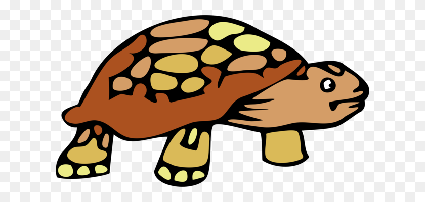 620x340 Turtle Reptile Desert Tortoise Russian Tortoise Gopher Tortoises - Desert Animals Clipart