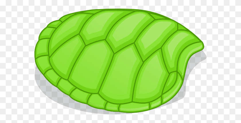 600x370 Turtle Shell Clip Art - Shells Clipart Black And White