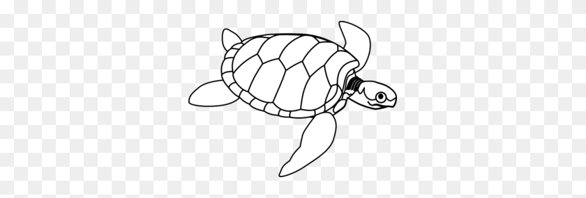 299x225 Turtle With Big Eye Clip Art - Turtle Black And White Clipart