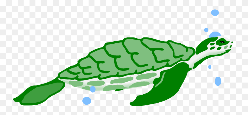 750x330 Tortugas Clipart - Tortuga Clipart Png