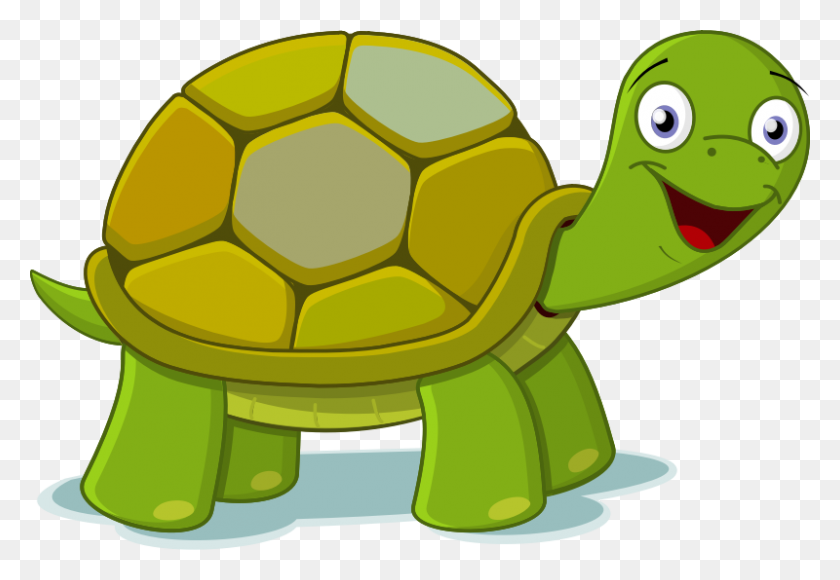 800x534 Tortuga Clipart Lindo - Cute Turtle Clipart