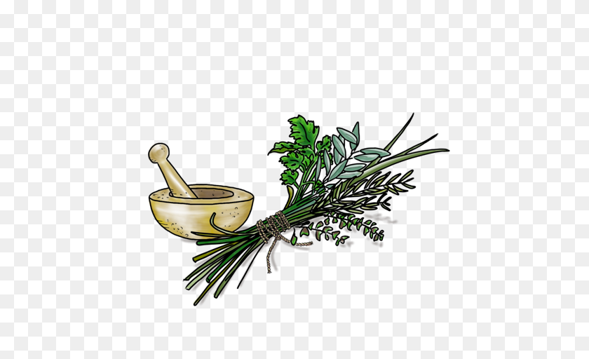 452x452 Tuscan Herb Olive This! - Herbs PNG