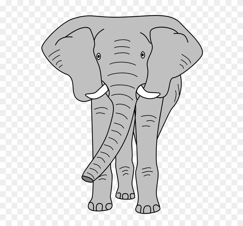 576x720 Tusk Clipart African Elephant - Elephant Clipart PNG