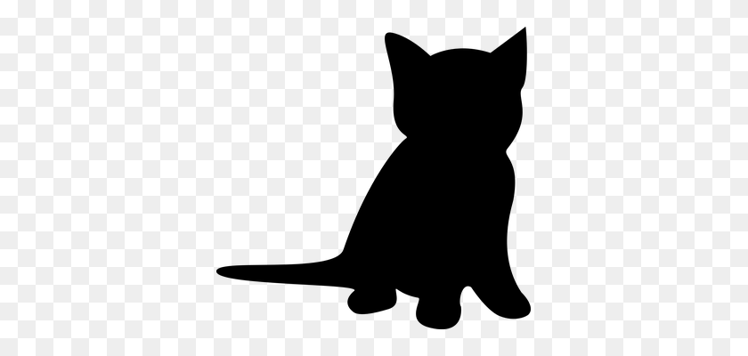 353x340 Tuxedo Cat Clipart Cat Silhouette - Tuxedo PNG