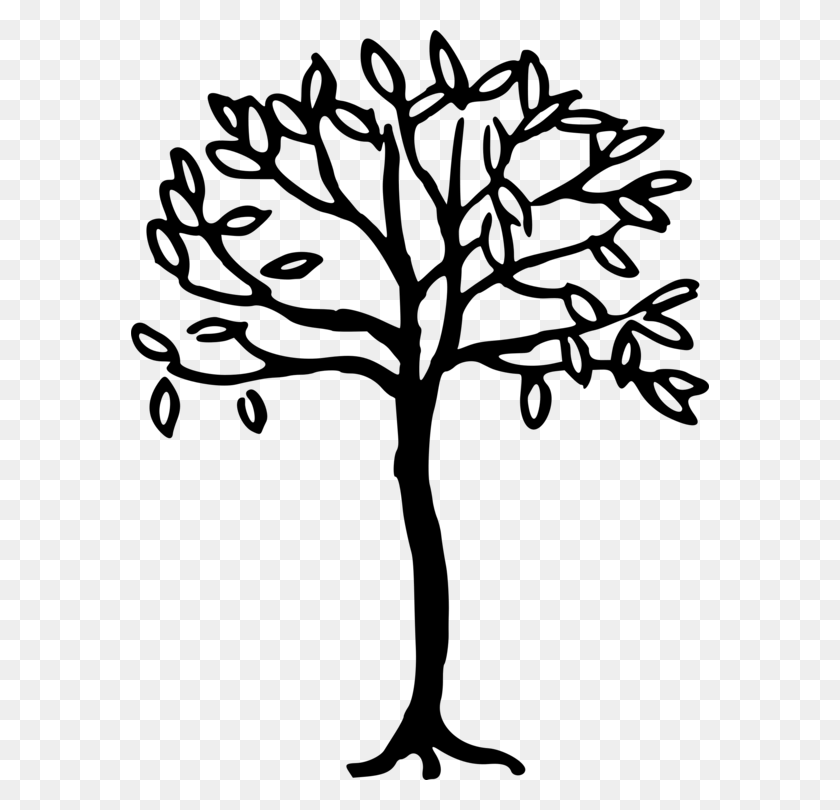 578x750 Веточка Philosophie De La Connaissance Tree Leaf Plant Stem Free - Простое Дерево Клипарт