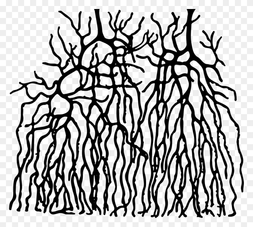 840x750 Стебель Растения Изобразительного Искусства Twig Root Ostergewitter - Растение С Корнями Клипарт