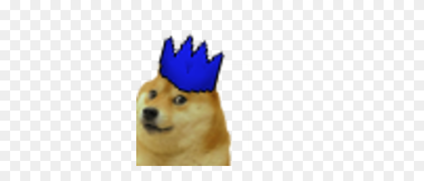 300x300 Twitch - Doge PNG