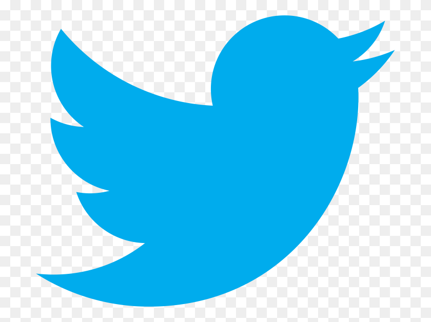 700x568 Twitter Bird Logos - Twitter Logo Clipart