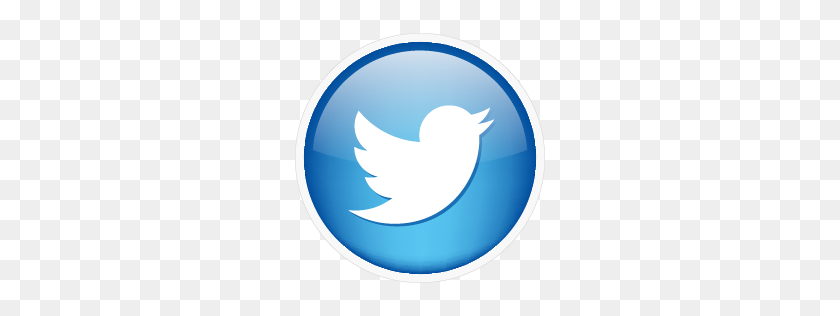 256x256 Twitter Icon - Twitter Icon PNG
