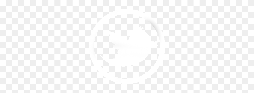 252x250 Twitter Icon Wit - Twitter Icon White PNG