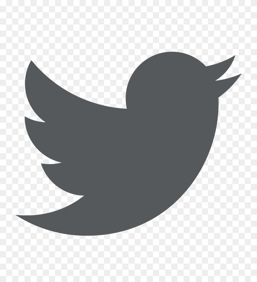 973x1073 Twitter Logo - White Twitter Icon PNG