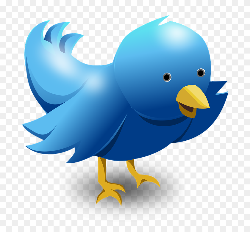 694x720 Twitter Logo Png Images Free Download - Logo Twitter PNG