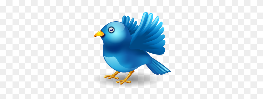 256x256 Twitter Логотип Png Изображения Скачать Бесплатно - Twitter Логотип Клипарт