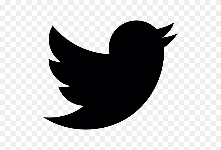 512x512 Силуэт Логотипа Твиттера - Белый Значок Твиттера Png