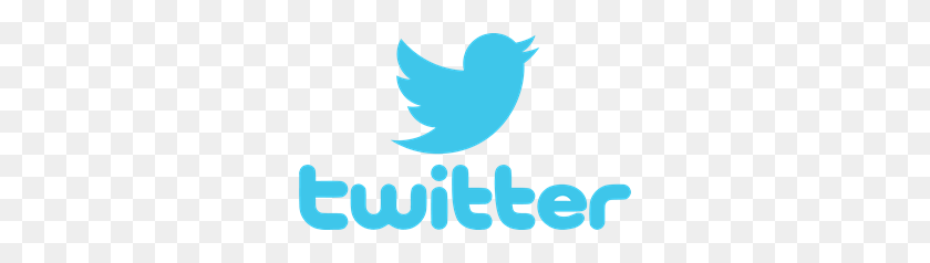300x178 Twitter Логотип Вектор Png Прозрачный Логотип Twitter Векторные Изображения - Логотип Twitter Png