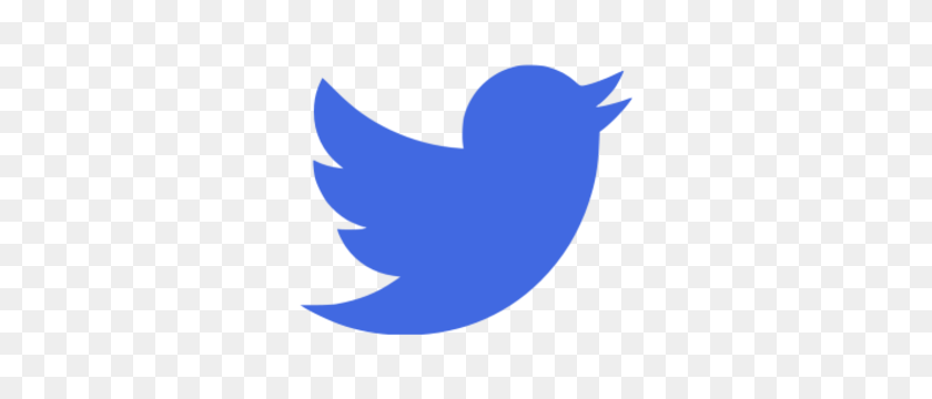300x300 Twitter Png Image - Logo De Twitter Clipart