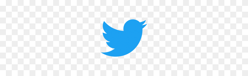 200x200 Icono De Vector De La Plaza De Twitter - Logotipo De Twitter En Blanco Y Negro Png