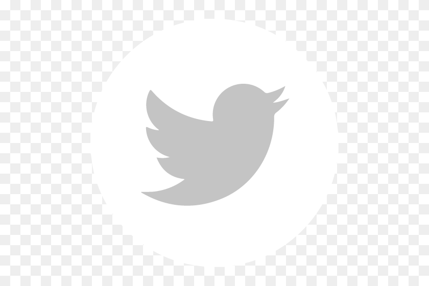 500x500 Twitterlogo Career Boost Colorado - Twitter Logo White PNG