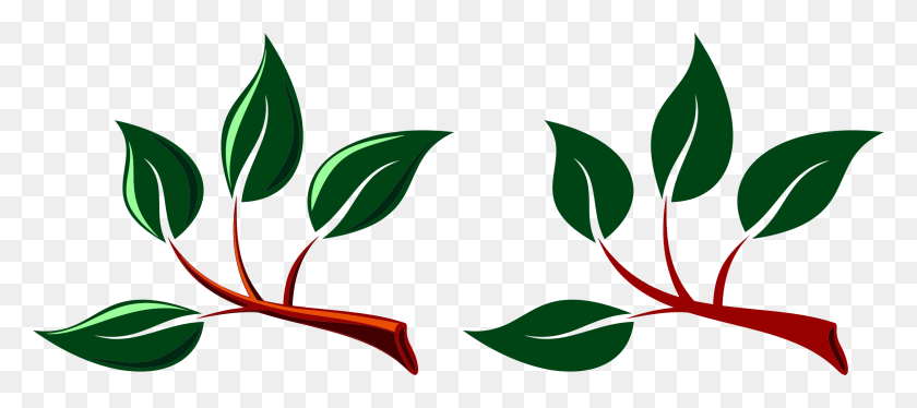 2320x936 Two Branches With Leaves Icons Png - Branches PNG