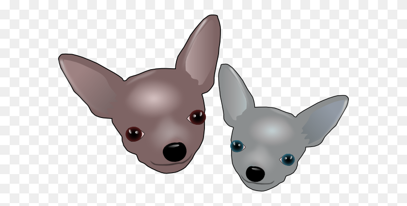 600x366 Imágenes Prediseñadas De Dos Chihuahuas - Imágenes Prediseñadas De Chihuahua
