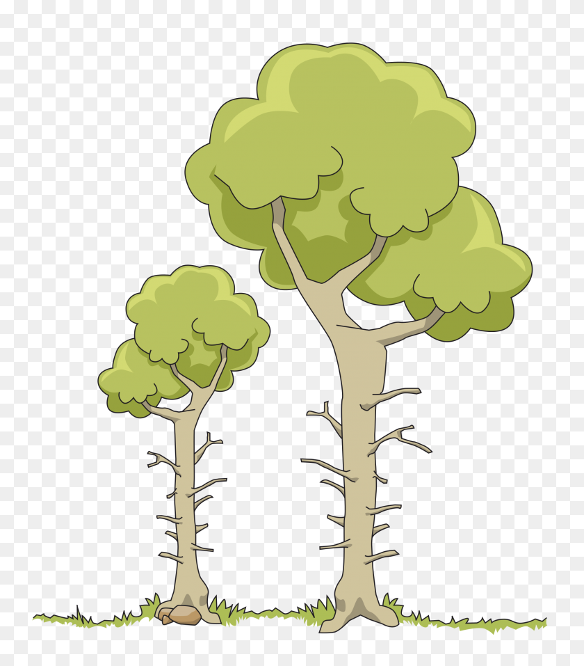 2085x2400 Two Dead Trees Icons Png - Dead Tree PNG