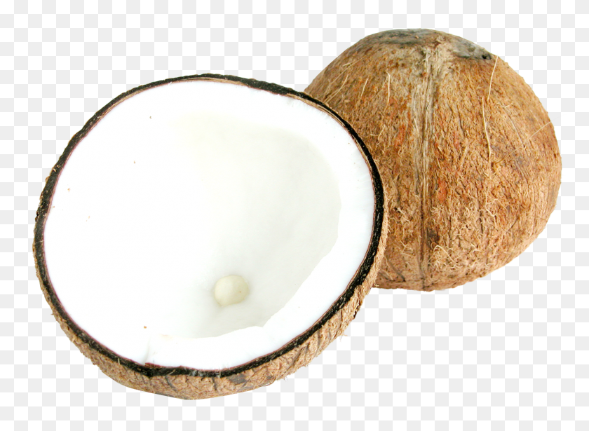 1322x942 Two Half Coconuts Png Image - Coconut PNG