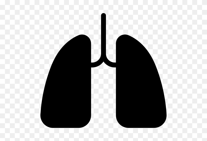 512x512 Two Lungs Png Icon - Lungs PNG