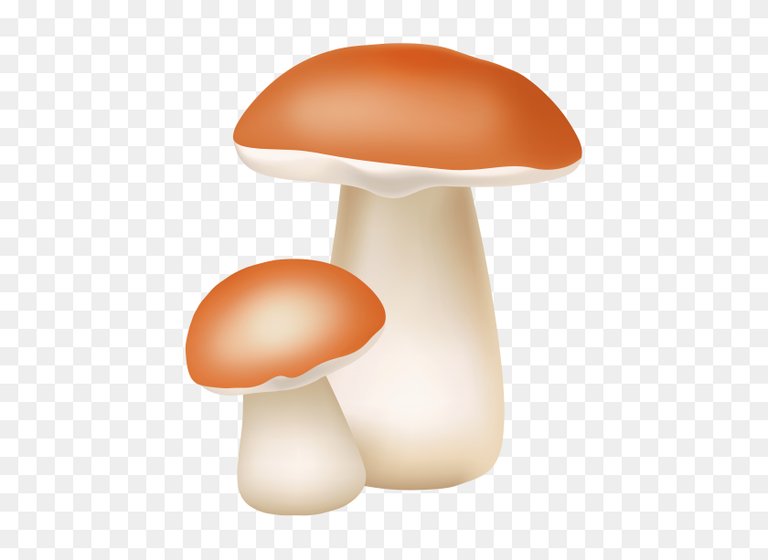 480x553 Two Mushrooms Png Cliaprt Png - Mushrooms PNG