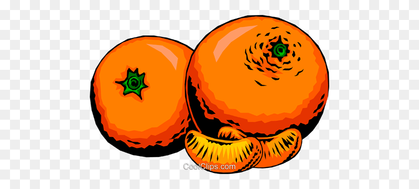 480x319 Two Oranges Royalty Free Vector Clip Art Illustration - Tangerine Clipart