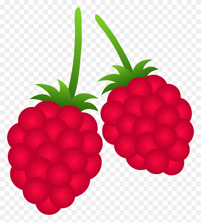 4571x5098 Two Raspberries - Raspberry Clipart