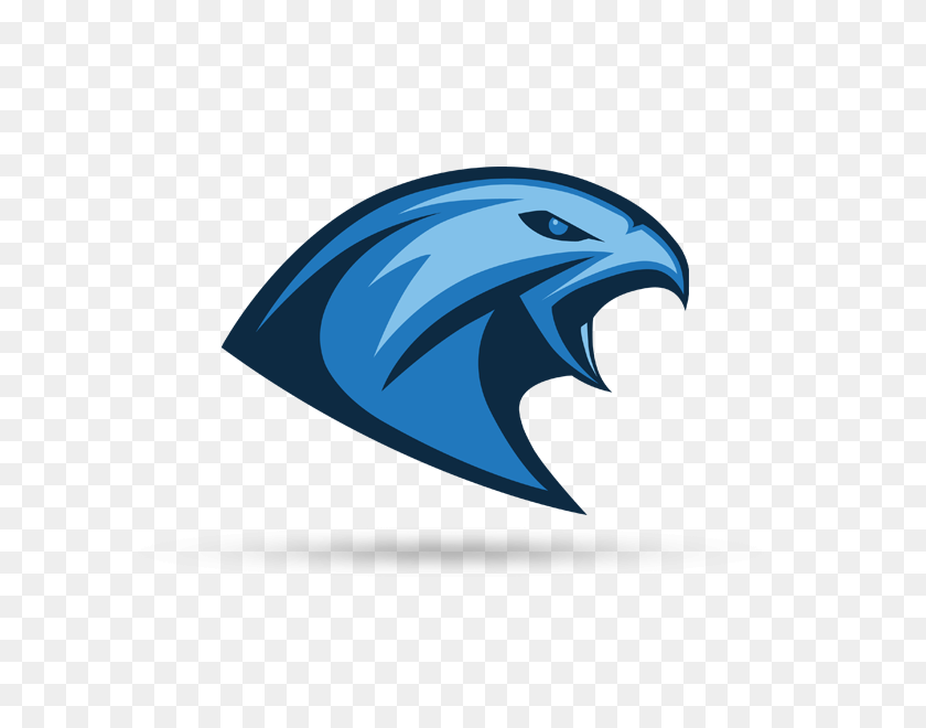 600x600 Tychy Falcons - Falcons Logo PNG