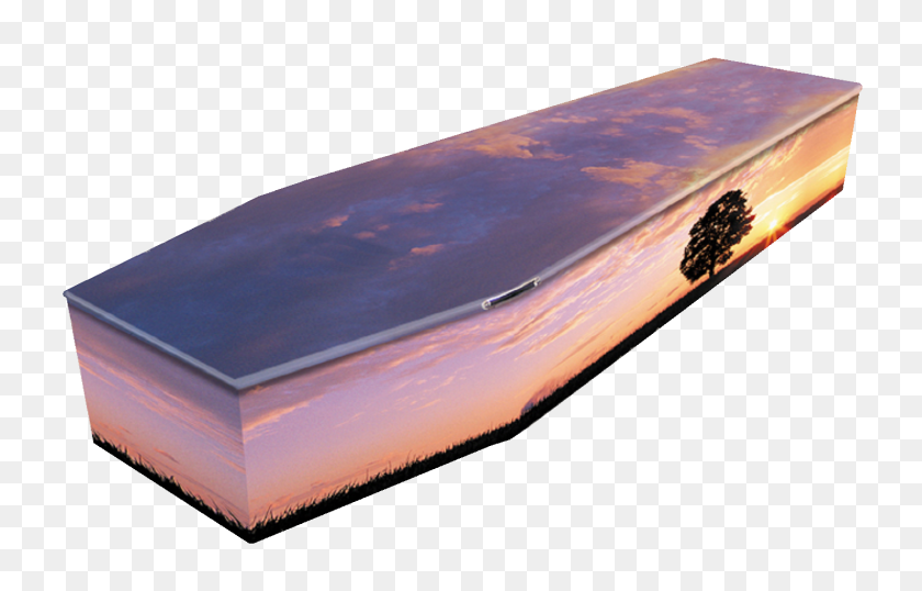 1404x862 Types Of Coffin Personal Picture Coffins From Colourful Coffins - Casket PNG