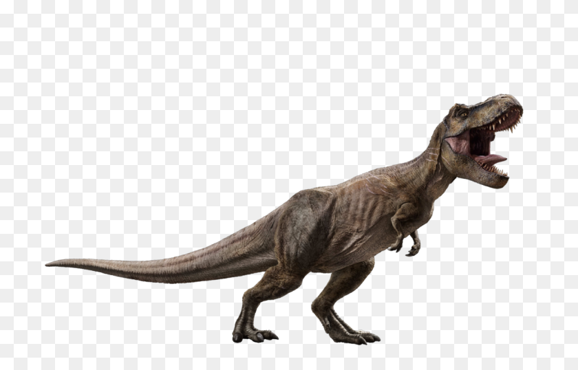 1141x700 Tyrannosaurus Rex - Velociraptor Png