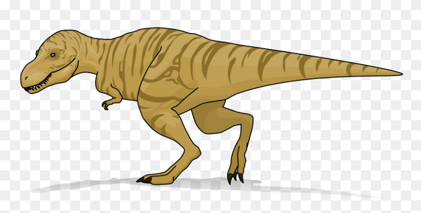 800x375 Tyrannosaurus Rex Heavyline - Tyrannosaurus Rex Png
