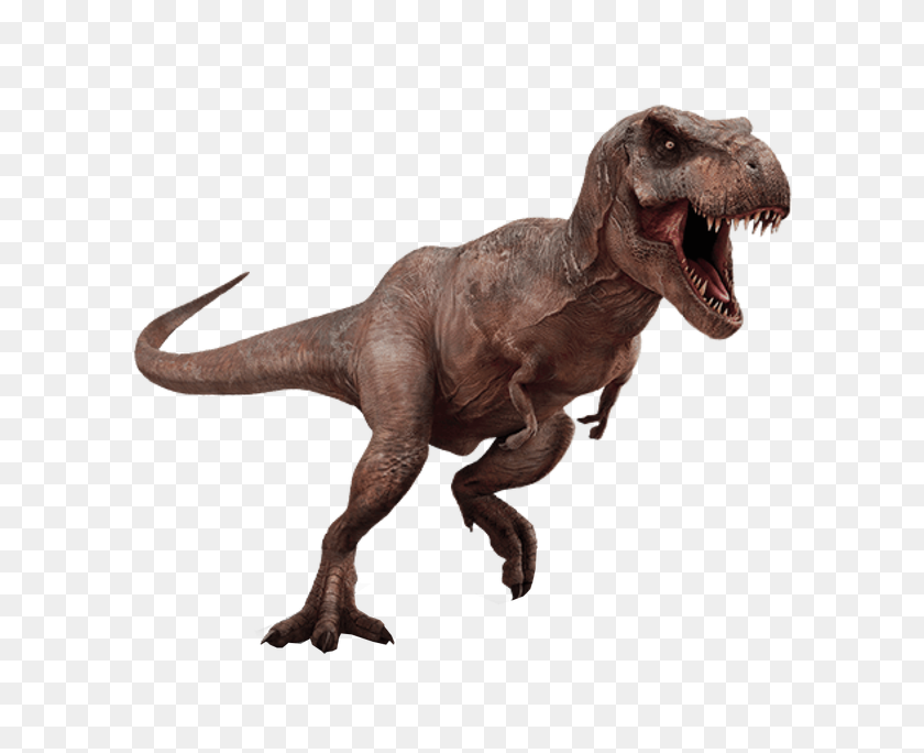 624x624 Tyrannosaurus Rex Png Png Image - T Rex PNG