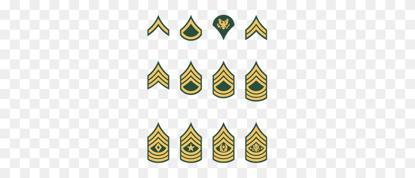 243x300 U S Army Enlisted Rank Insignia Logo Vector - Us Army Logo PNG