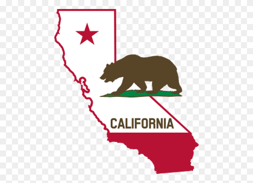 480x548 Cámara De Los Estados Unidos Que Brinda Esperanza Y Ayuda A California - Estado De California Png