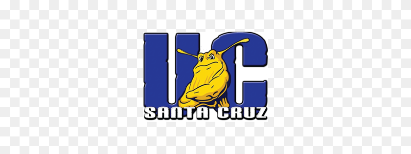 256x256 Uc Santa Cruz Clipart Clip Art Images - Boycott Clipart