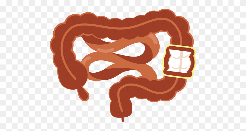 Uconn Health Works To Reduce Complications In Common Procedures - Large Intestine Clipart