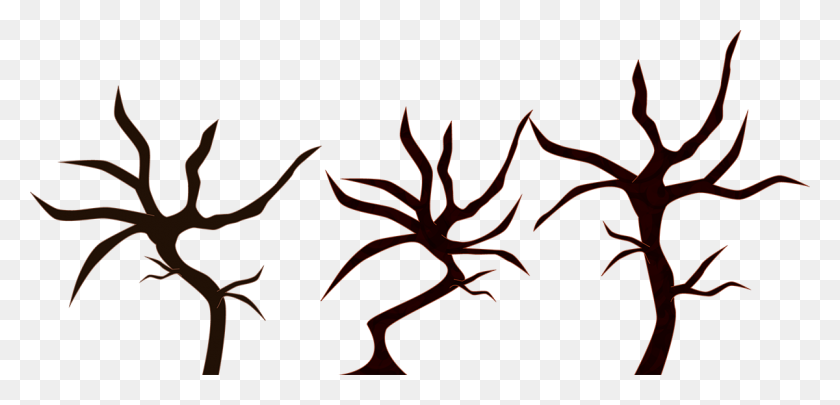 1200x531 Ume Tree Clipart Outline - Tree Outline PNG