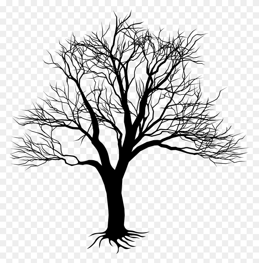 2357x2400 Ume Árbol Clipart Fondo Transparente - Árbol Png Transparente