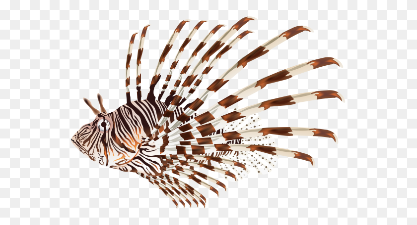 560x395 Under The Sea - Lionfish Clipart