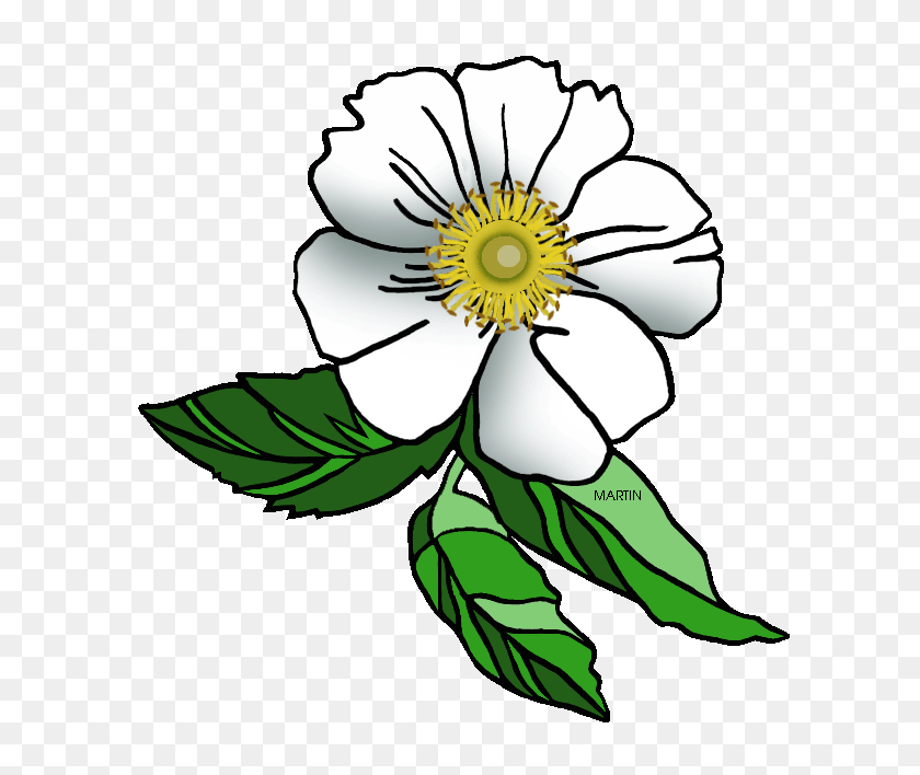 640x648 United States Clip Art - Rose Flower Clipart