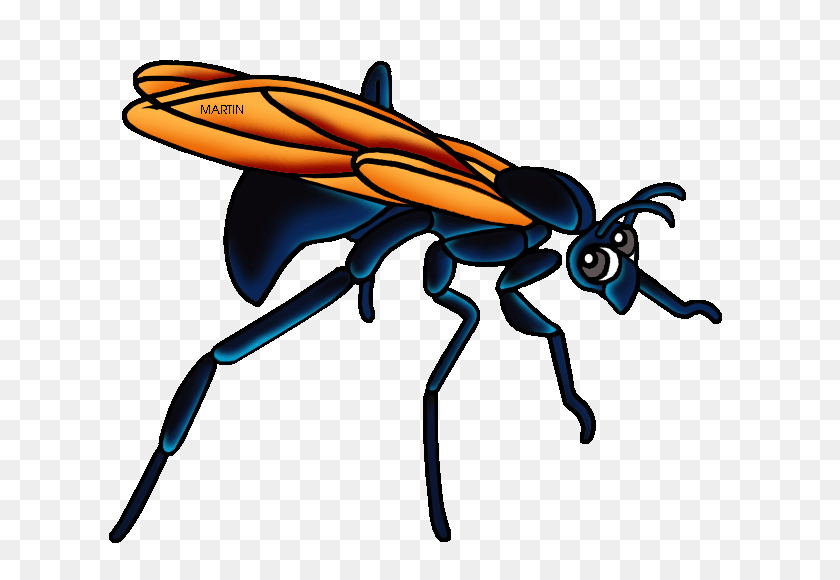 648x520 United States Clip Art - Wasp Clipart