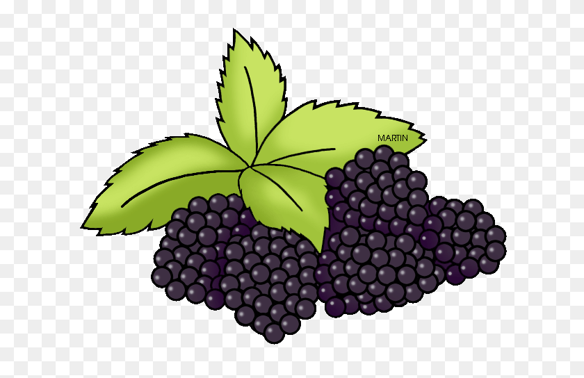 648x484 United States Clip Art - Blackberry PNG