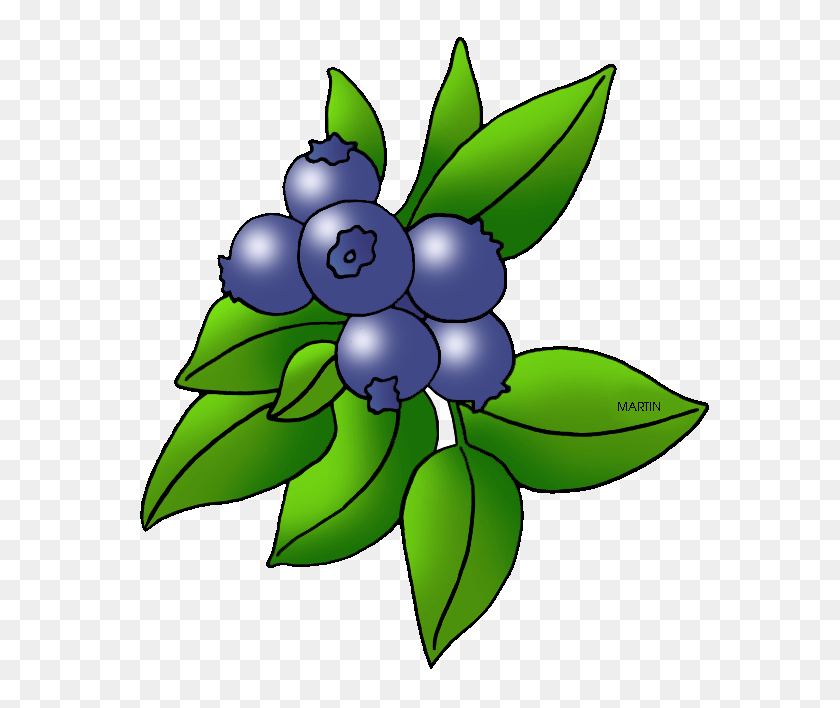 597x648 United States Clip Art - Blueberry Clipart