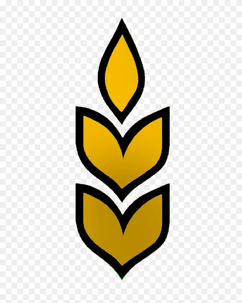 700x990 Universiti Brunei Darussalam - Emblem PNG