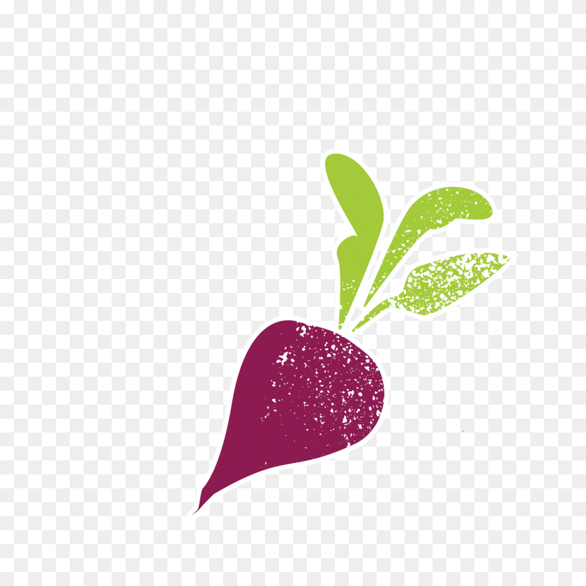 1601x1601 Urban Roots Partners - Beet Clipart